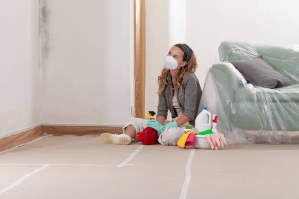 Reliable Mold Removal contractor in Medinah, IL by WQB Mold Removal
